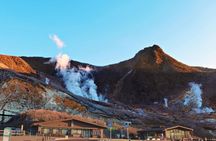 Private Tour to Mount Fuji and Hakone - A Personalized Experience