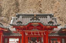 Private Tour to Mount Fuji and Hakone - A Personalized Experience