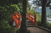 Private Tour to Mount Fuji and Hakone - A Personalized Experience
