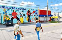 The Pearl of Miami Little Haiti Tour