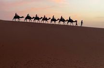 4-Day Fez to Marrakech Sahara Tour: Erg Chebbi & Gorges