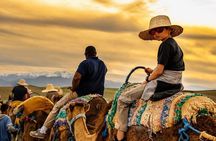 Agafay Desert: Dinner + Show with Quad Bike & Sunset Camel Ride