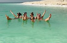 Madaba Mount Nebo and Dead Sea Private Tour