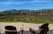 Must-See Wineries in Valle de Guadalupe: Private Tour