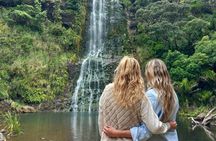 Piha Beach, Waterfall and Rainforest Tour from Auckland