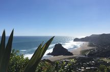 Piha Beach, Waterfall and Rainforest Tour from Auckland