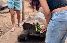 Stone Town & Prison Island Tour with Giant Tortoises