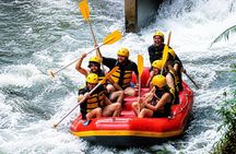 Ubud Zipline Adventure ,Rice terrace and Waterfall Tour