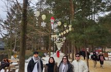 Nami Island Private Tour