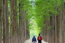 Nami Island Private Tour