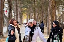 Nami Island Private Tour