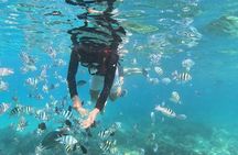 Nha Trang Half-Day Tour with Snorkeling and Seafoods