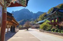 Mt.Seoraksan, Nami Island, and Korean Garden from Seoul
