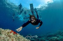 Sorrento Morning RIB Snorkel: 2 Spots with a Marine Biologist