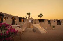 Dubai: Sahara Oasis Desert Dinner, Dune Bashing & Live Shows