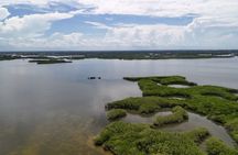 Scalloping Adventure Private Activity in Nature Coast Florida