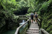 Chengdu Panda Valley and Mount Qingcheng All Inclusive day Tour