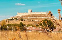 From Madrid to Ribera del Duero Vineyards and Towns Reconditos