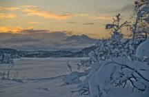 Tromsø: Explore Tromsøya on Snowshoes with a Local Guide