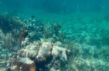 Puerto Morelos Reef Snorkeling Tour with Local Guide Victor