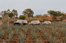 VIP Tour to Tequila in Suburban max 7 people