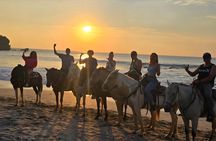Horseback riding tour sunset and beach at the JW Marriott Costa Elena