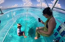 Cancún Clear Boat: Caribbean Swim, Reef Views Free Drinks & Photo
