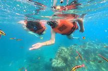 Los Arcos de Mismaloya Sea Safari and Snorkeling