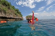 Los Arcos de Mismaloya Sea Safari and Snorkeling