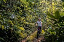 Downhill Cycling Bali: Bamboo Forest, Rice Fields & Countryside