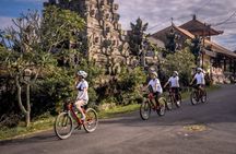 Downhill Cycling Bali: Bamboo Forest, Rice Fields & Countryside
