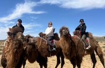 3 Day Mini Gobi and Terelj with Camel and Horse Riding Tour