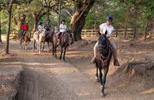Guachipelin Zipline, River Tubing, Horseback Ride, Hot springs & Lunch Combo