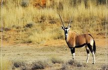 Discover Angola with Promovél Angola tours