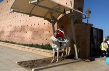 Private Rabat Day Trip from Casablanca (With flexible options)