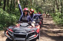 Tour in 4x4 ATVs inside the Dunes of Chachalacas, Veracruz