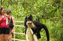 Manuel Antonio National Park Guided Wildlife Tour