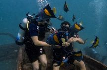 Try Scuba dive in Qatar