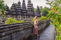 Bali Private Monkey Forest with Waterfall and Temple Tour