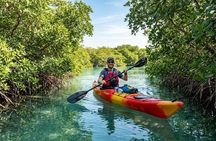 Doha Mangrove Kayaking Al Thakira & Purple Island With Transfer