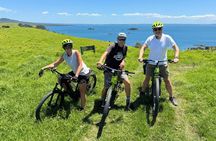 Rangitoto and Motutapu Islands Guided e-Bike incl. Scenic Ferry