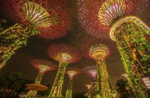 Gardens by the Bay Entry tickets with Parks Options