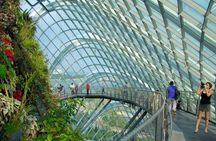 Gardens by the Bay Entry tickets with Parks Options