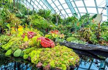 Gardens by the Bay Entry tickets with Parks Options
