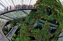 Gardens by the Bay Entry tickets with Parks Options