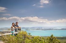 Rangitoto Island Guided Walk incl. Scenic Ferry | Tapuwae Tours