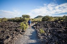 Rangitoto Island Guided Walk incl. Scenic Ferry | Tapuwae Tours