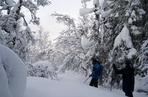 Tromsø: Explore Tromsøya on Snowshoes with a Local Guide