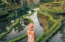 Ubud Private Tour with Rice Terrace Swing Temple Balinese Culture