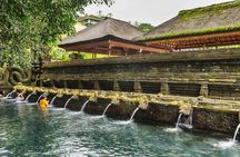 Ubud Private Tour with Rice Terrace Swing Temple Balinese Culture
